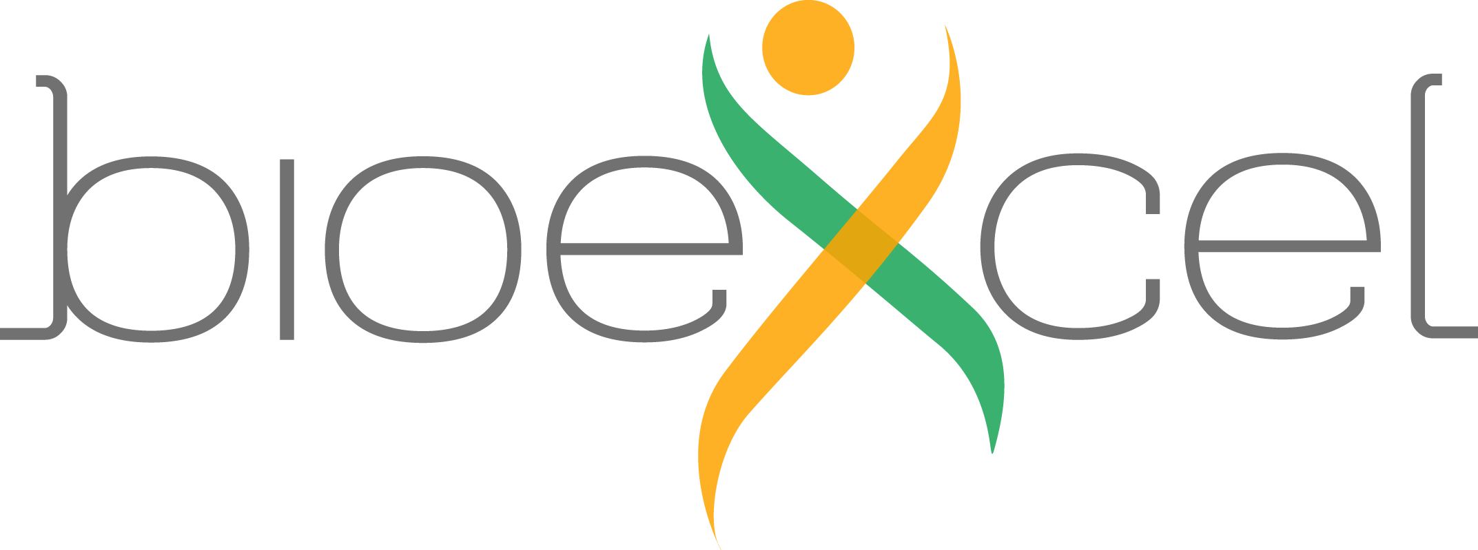BioExcel Logo