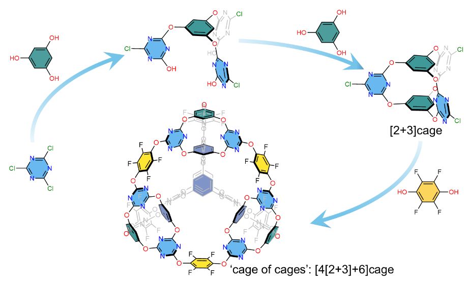 Celebration of Science