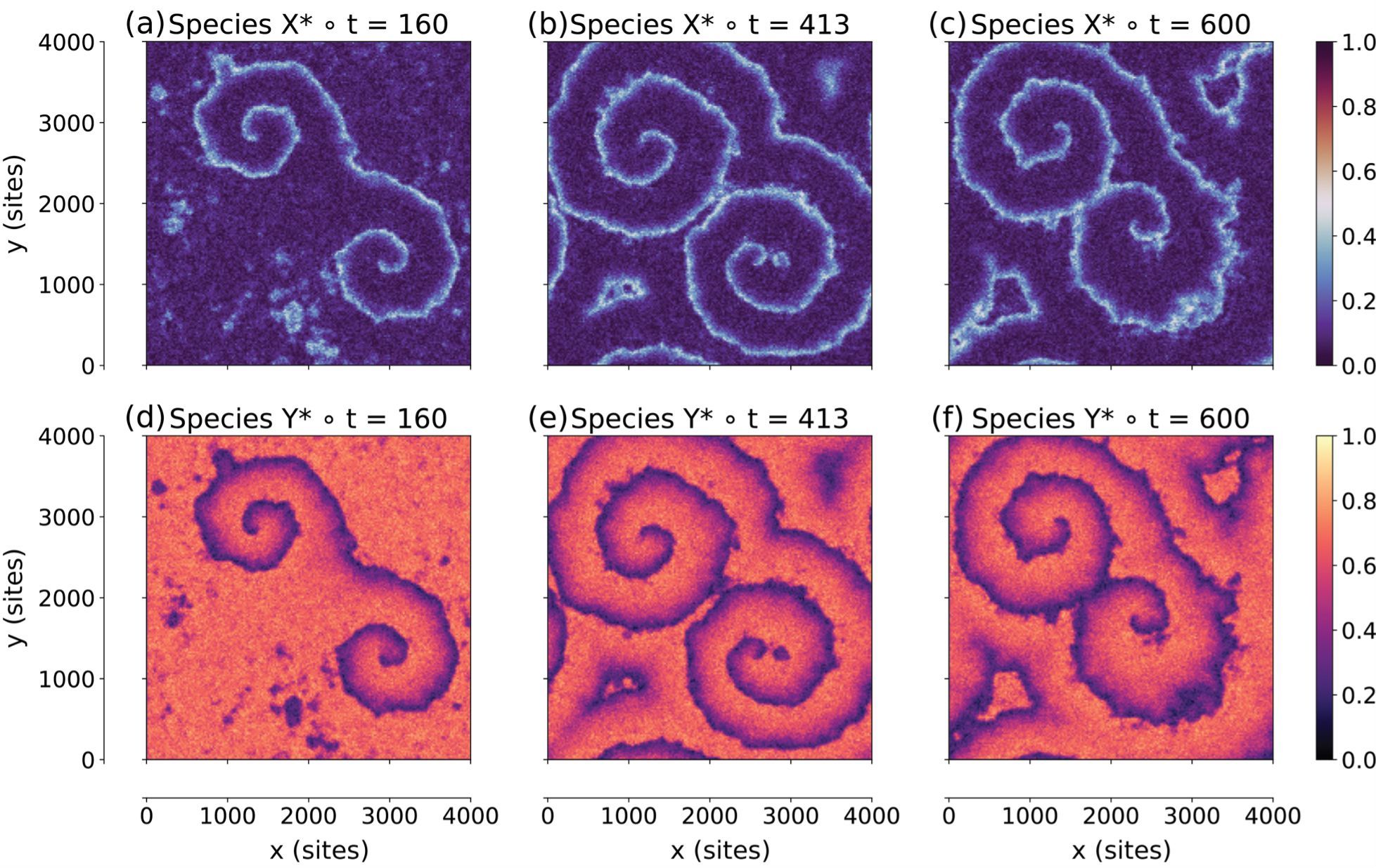 Snapshots of the fractional coverages of the activator species X* (panels a, b, c) and the inhibitor species Y*